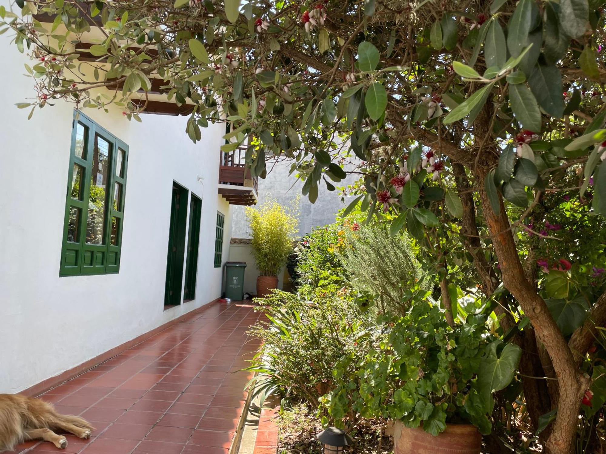 Hostal El Pino Villa de Leyva Buitenkant foto